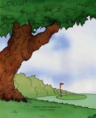 golf011.jpg
